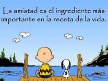Haga click para ver la imagen ampliada ingrediente amistad.jpg